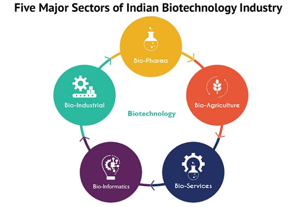  Biotechnology Industry in India size
