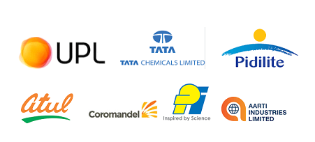  India Chemical Industry growth companies 