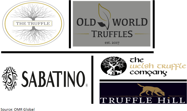 global truffles market players outlook