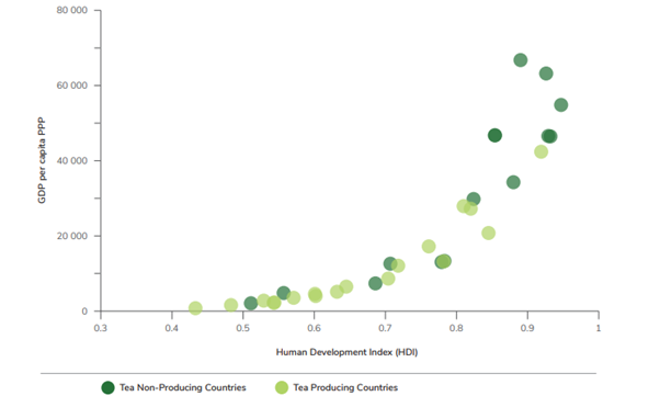 tea is largely produced in countries with relatively low income