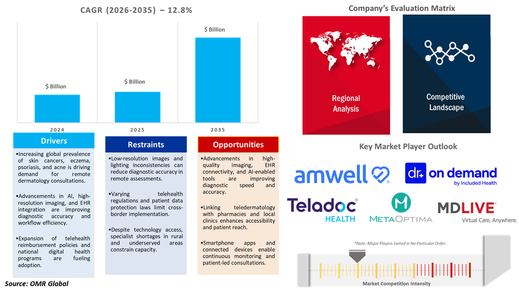 global teledermatology market dynamics
