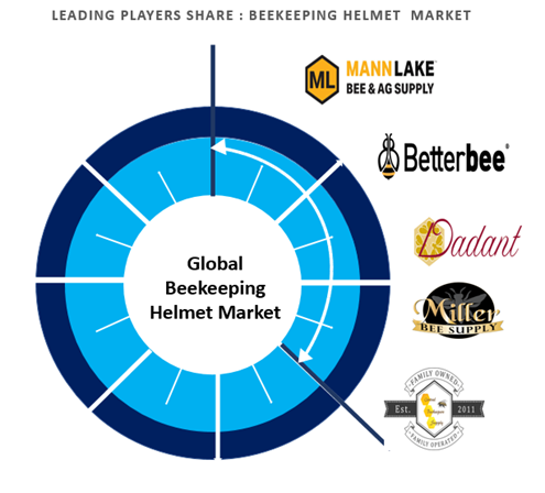 beekeeping helmet market players outlook
