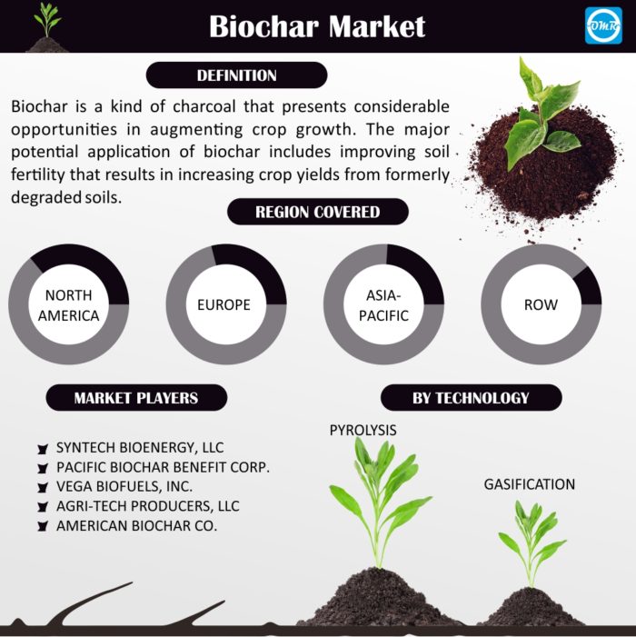 Biochar Market Report