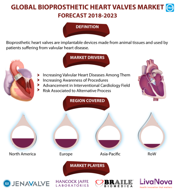 Bioprosthetic Heart Valves Market Report
