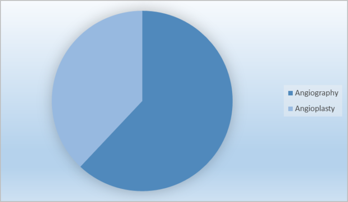 Hemostasis Valve Market Share