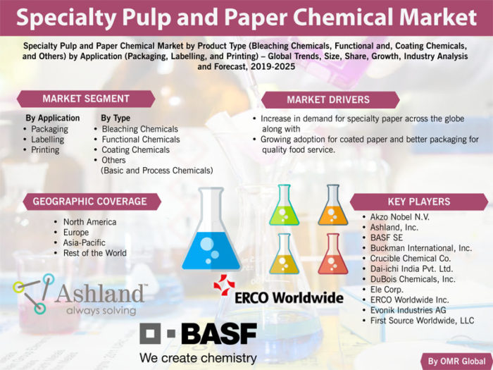 Specialty Pulp and Paper Chemical Market Report